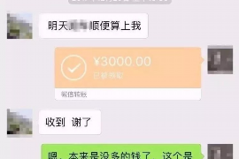 和林格尔债务清欠服务